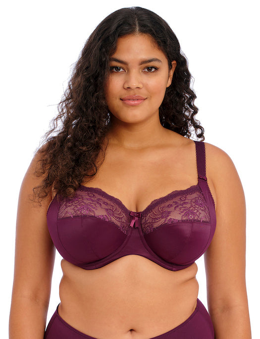 Elomi Morgan Underwire Banded Stretch Lace Bra