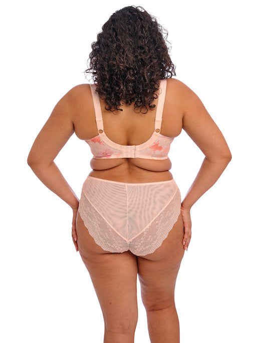Elomi Lucie High Leg Brief