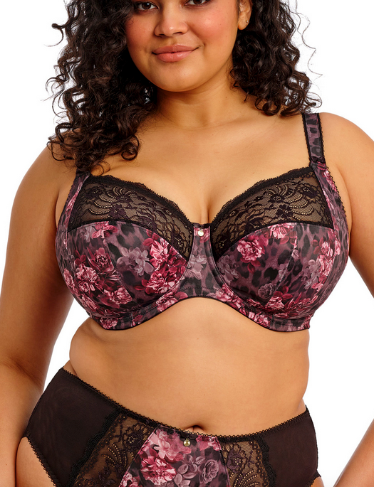 Elomi Morgan Underwire Banded Stretch Lace Bra