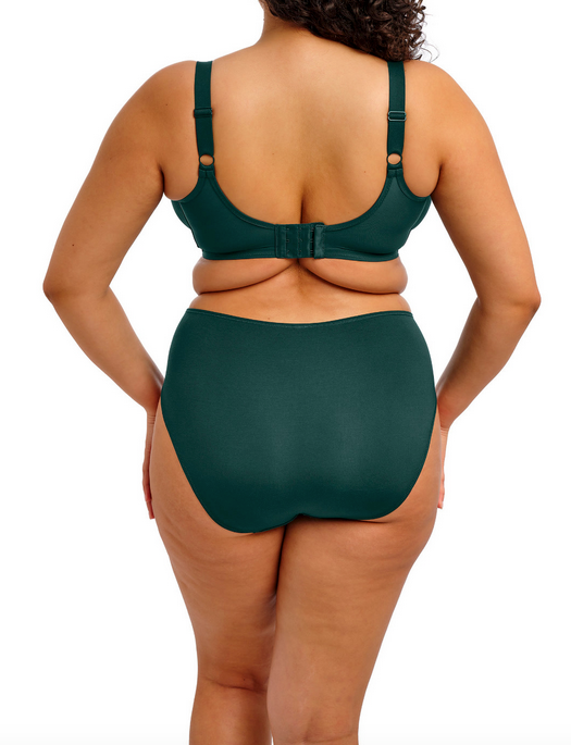 Elomi Smooth Full Brief