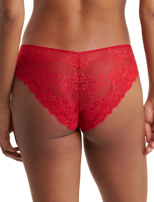 Natori Bra Heavenly Hi Cut Brief