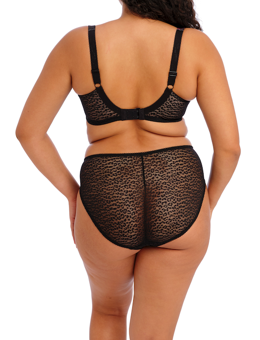 Elomi Lucie High Leg Brief