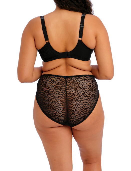 Elomi Lucie Stretch Plunge Underwire Bra