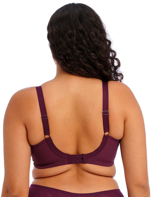 Elomi Brianna Underwire Plunge Bra