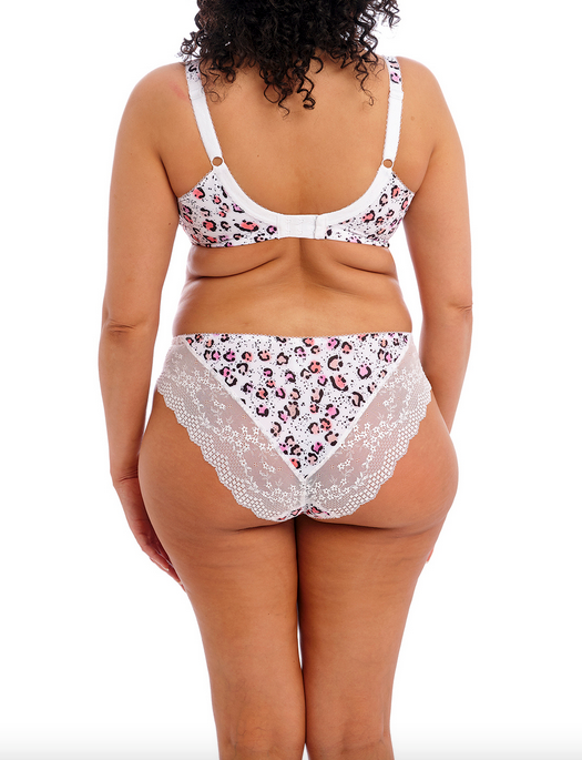 Elomi Lucie Stretch Plunge Underwire Bra