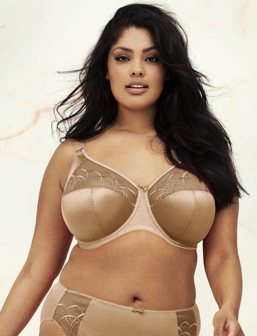 Elomi Cate Full Cup Bra, HAZEL BRA - BASIC - CLASSIC ELOMI 38HH