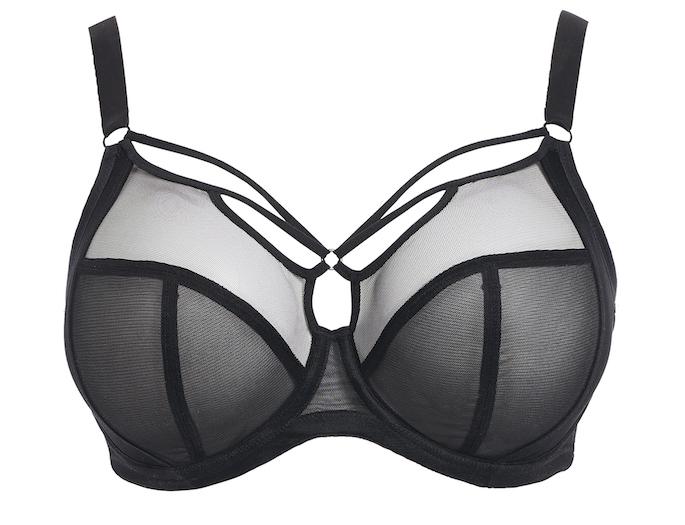 Elomi Sachi Underwire Bra BRA - BASIC - CLASSIC ELOMI BLACK 40GG 