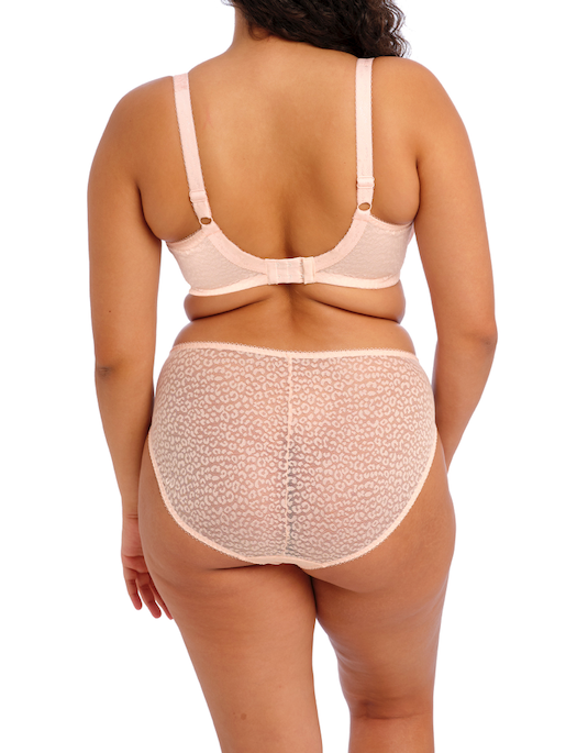 Elomi Lucie Stretch Plunge Underwire Bra