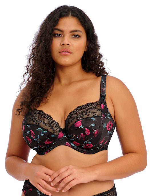 Elomi Lucie Stretch Plunge Underwire Bra