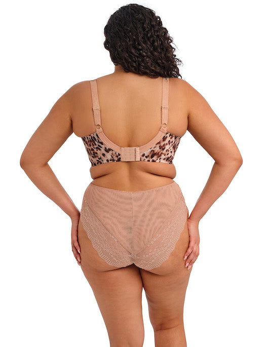 Elomi Lucie High Leg Brief