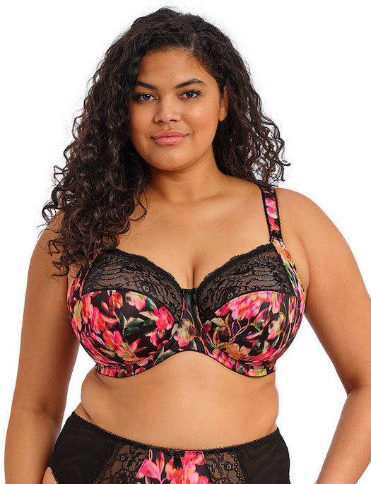 Elomi Morgan Underwire Banded Stretch Lace Bra
