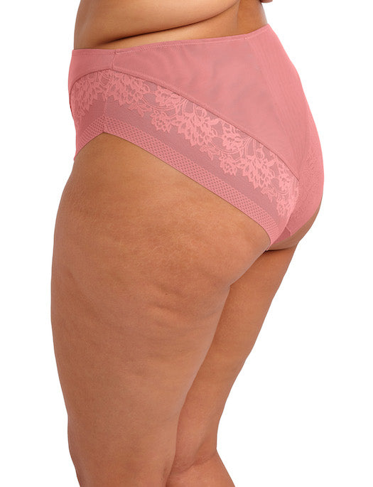 Elomi Nerina High Leg Brief