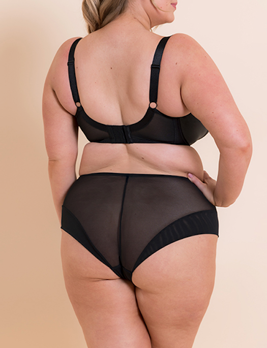 Curvy Kate Enchant HW Brief
