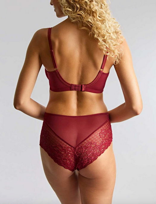 Panache Envy Deep Brief
