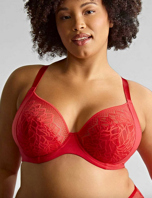 Sculptresse Sophia Plunge Bra