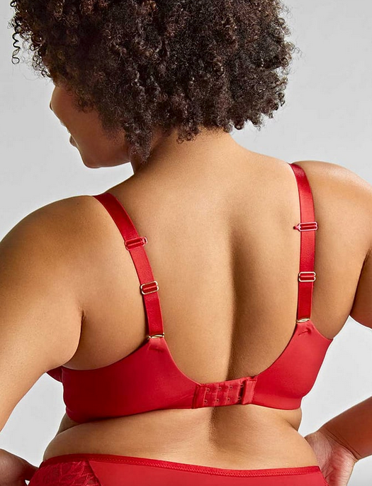 Sculptresse Sophia Plunge Bra