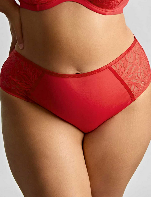 Sculptresse Sophia Deep Brief