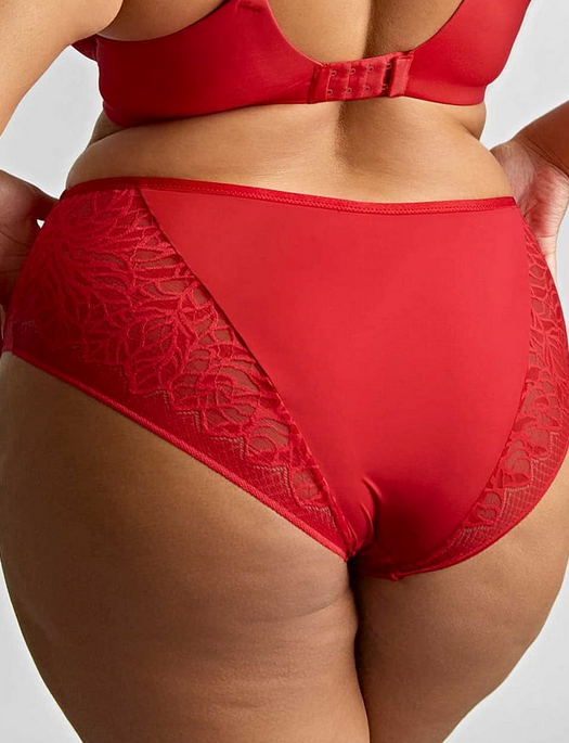 Sculptresse Sophia Deep Brief