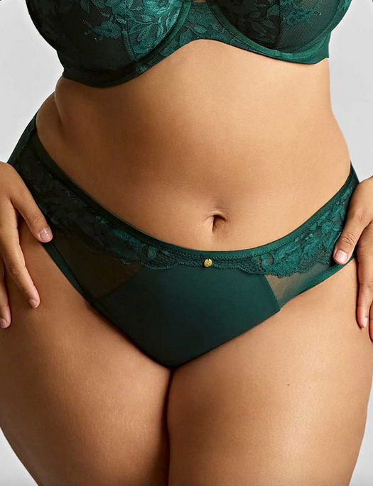Sculptresse Josephine High Leg Brief
