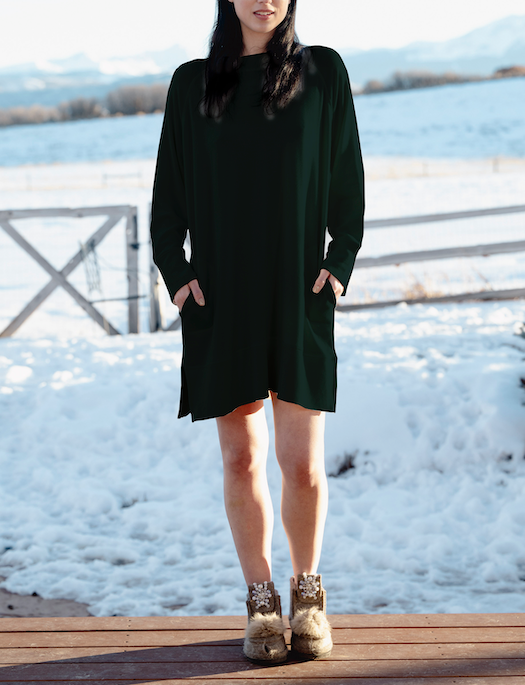 Aspen Dream Cozy Dress