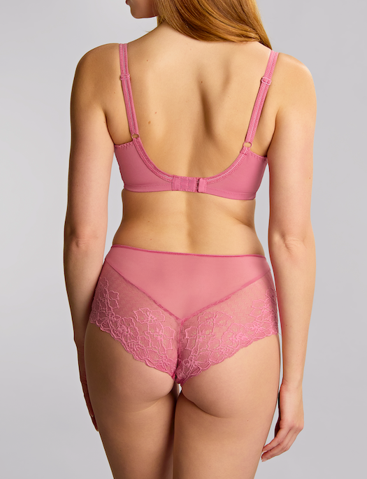 Panache Envy Deep Brief