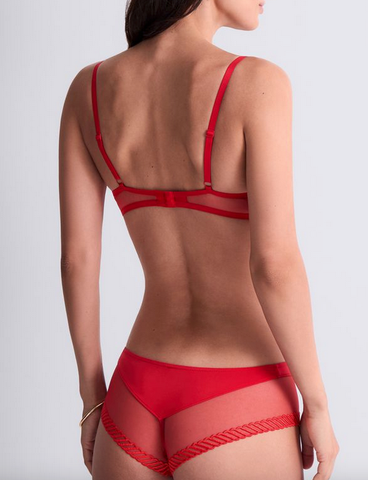 Aubade Sheer Emotion Cheeky Brief