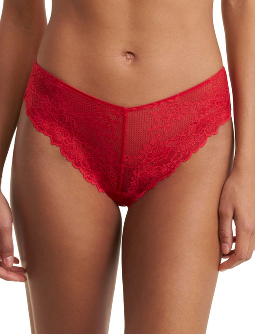 Natori Bra Heavenly Hi Cut Brief