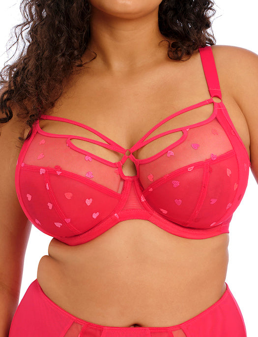 EL4353 Elomi Sachi Underwire Plunge Bra