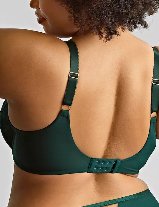 Sculptresse Josephine Full Cup Bra
