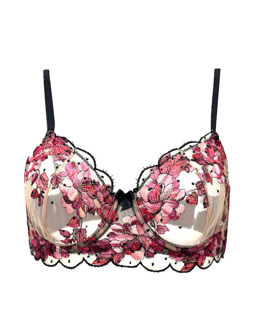 Carol Coelho Embroidered Tulle and Velvet Bra