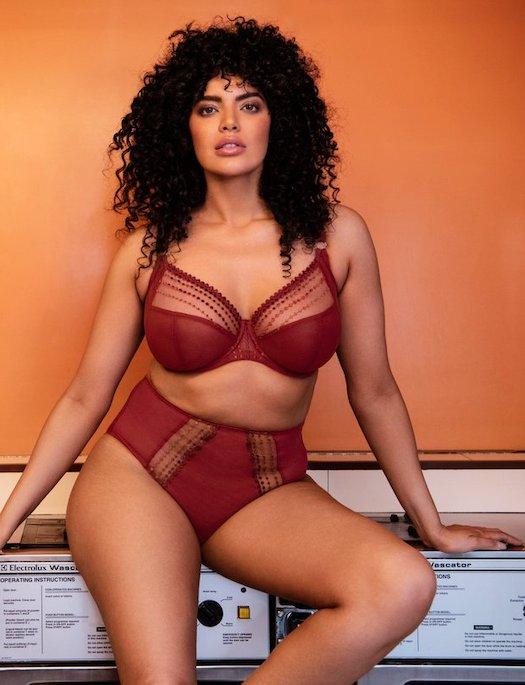 Elomi Matilda Brief, CRIMSON PANTY - BRIEF - FASHION ELOMI 